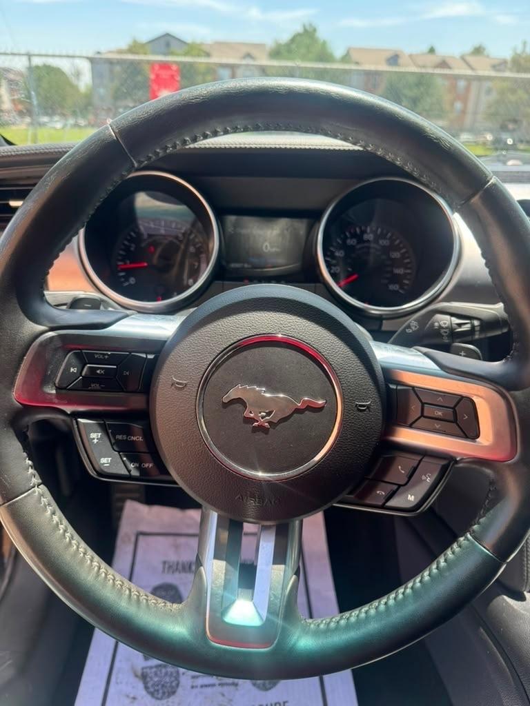 Ford Mustang EcoBoost Fastback 2019
