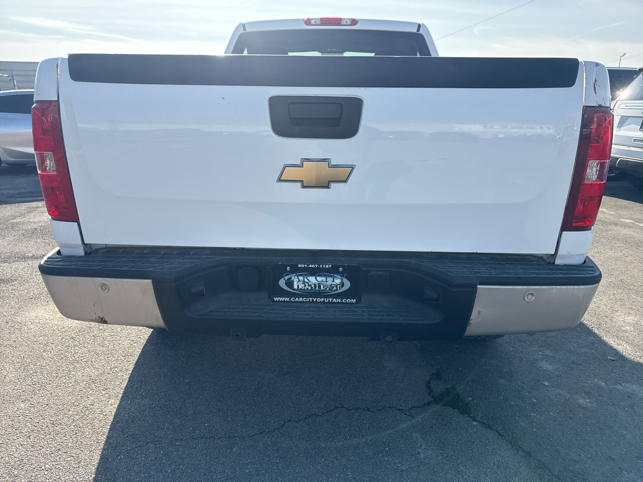 Chevrolet Silverado 1500 2WD Reg Cab 119.0" Work Truck 2009