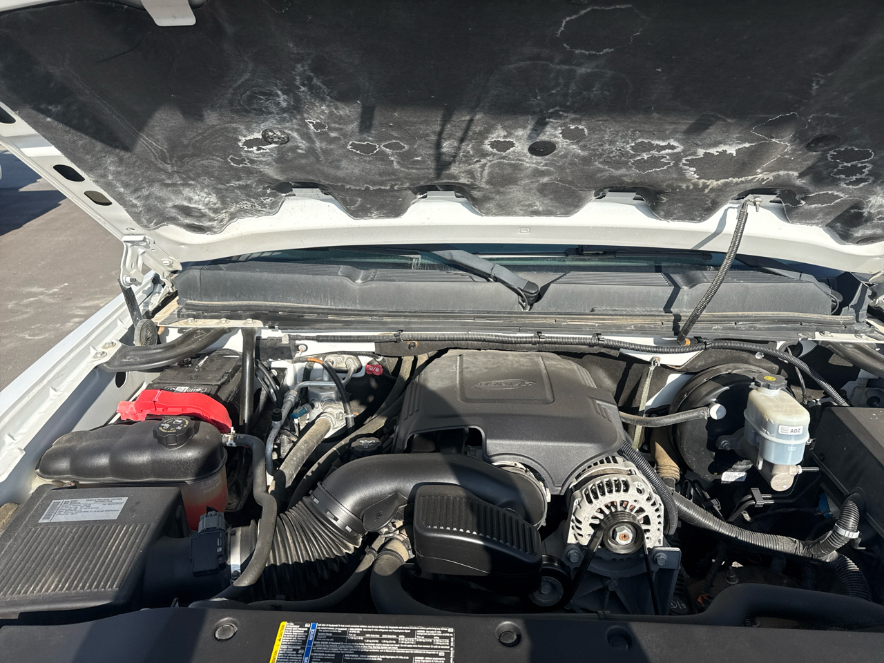 Chevrolet Silverado 1500 2WD Reg Cab 119.0" Work Truck 2009