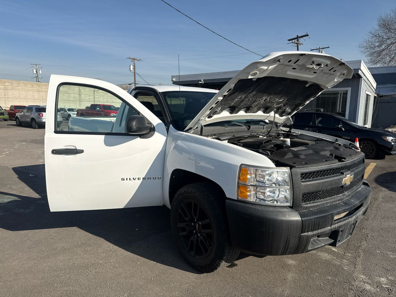 Chevrolet Silverado 1500 2WD Reg Cab 119.0" Work Truck 2009
