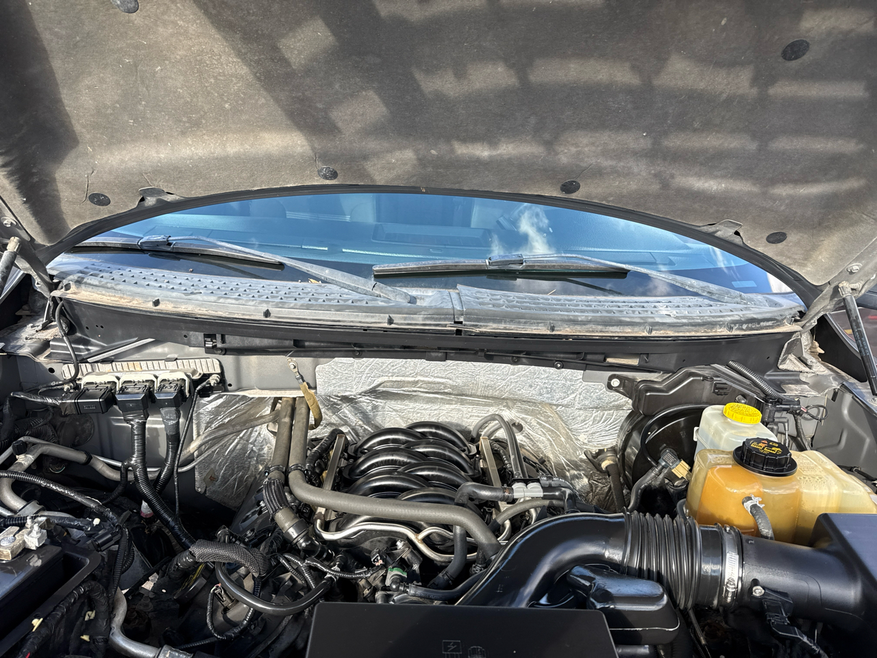 Ford F-150 4WD SuperCrew 145" Platinum 2014