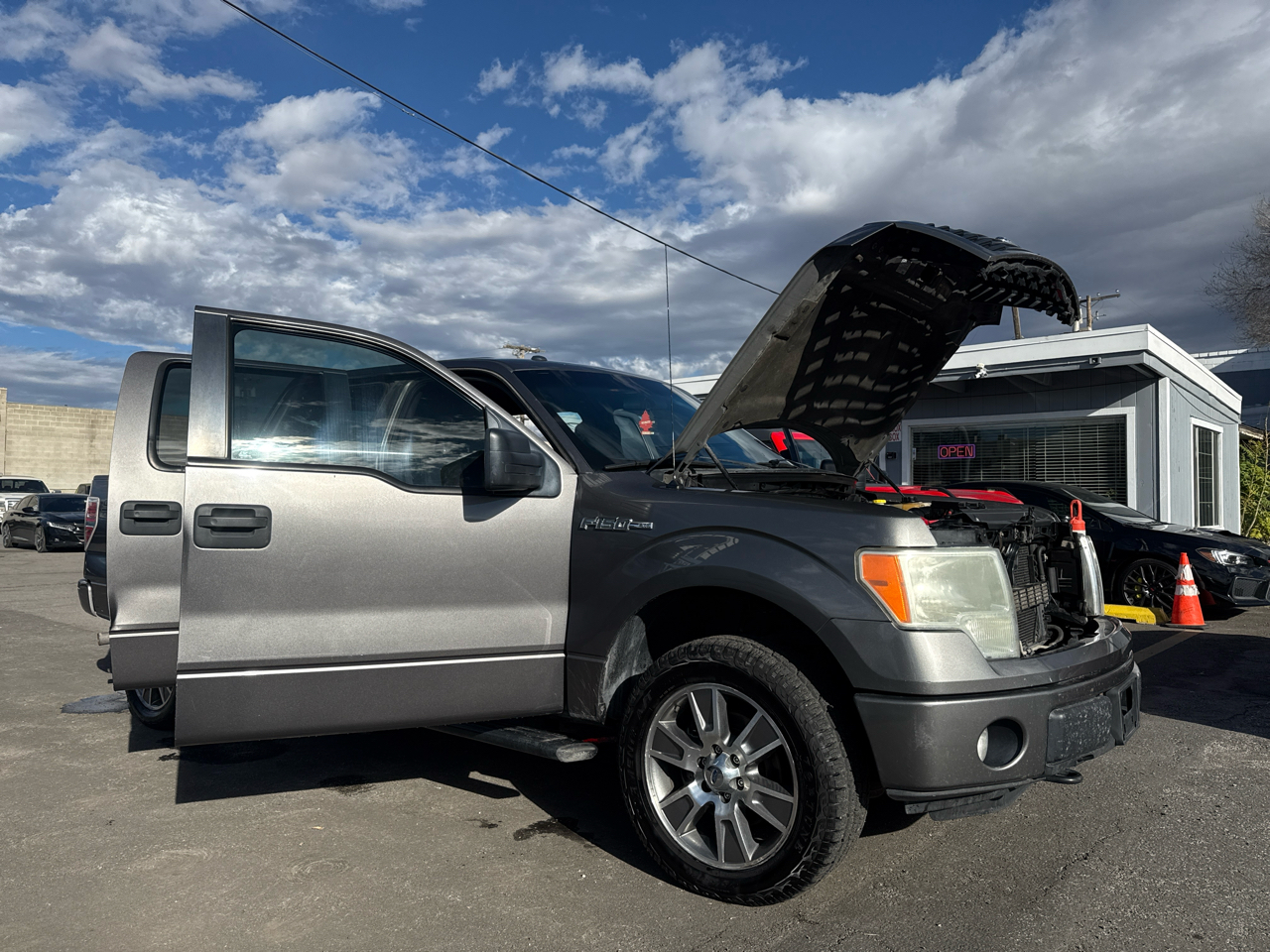 Ford F-150 4WD SuperCrew 145" Platinum 2014