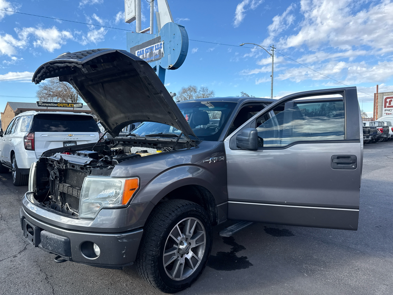 Ford F-150 4WD SuperCrew 145" Platinum 2014