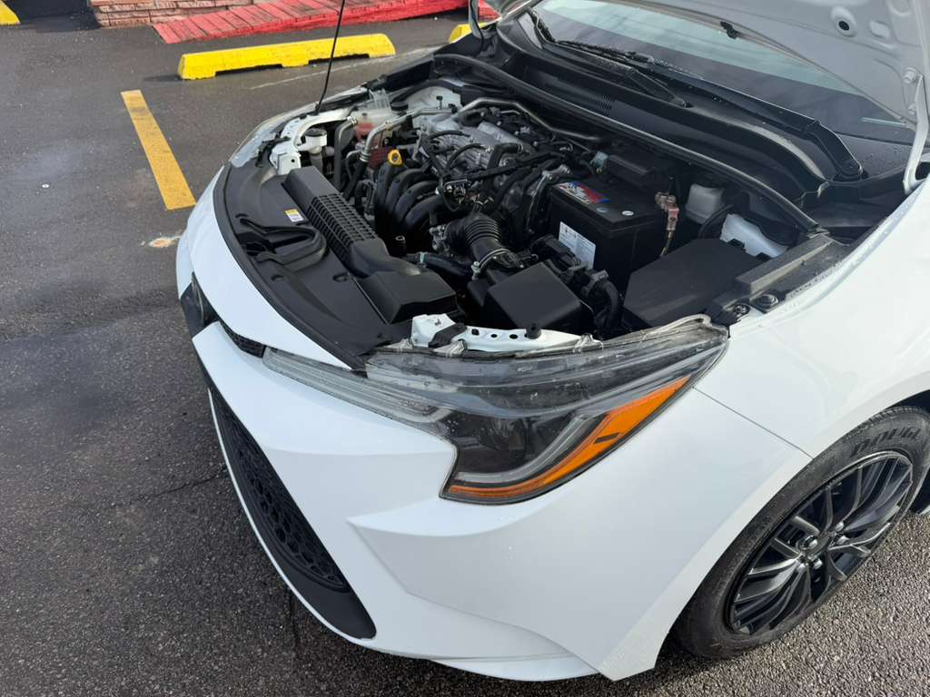 Toyota Corolla LE CVT (Natl) 2020