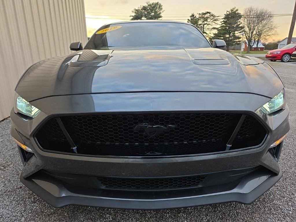 Ford Mustang GT Fastback 2019