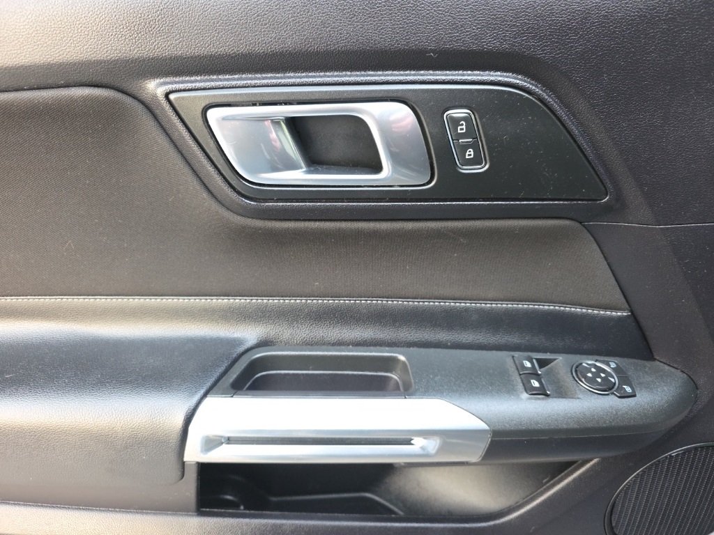 Ford Mustang GT Fastback 2019