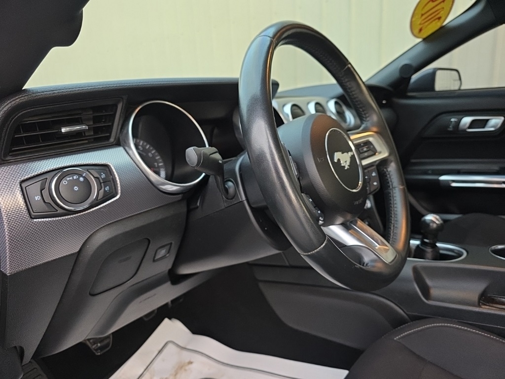 Ford Mustang GT Fastback 2019