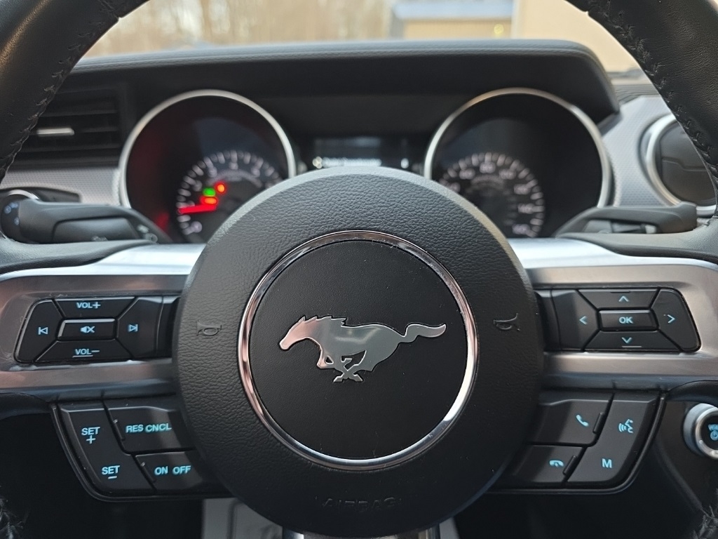 Ford Mustang GT Fastback 2019