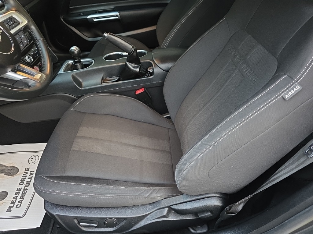 Ford Mustang GT Fastback 2019