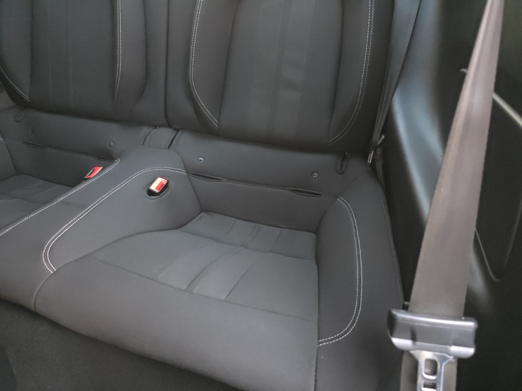 Ford Mustang GT Fastback 2019