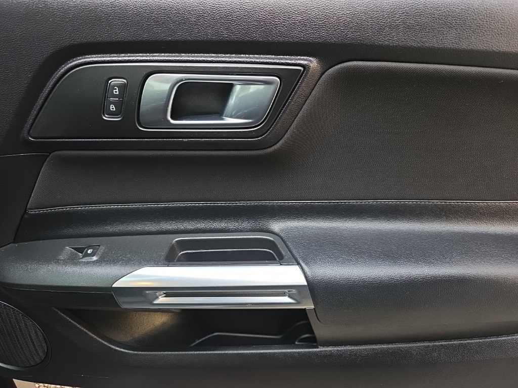 Ford Mustang GT Fastback 2019