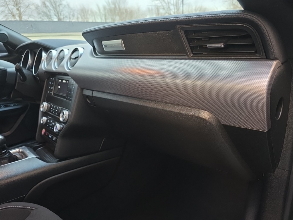 Ford Mustang GT Fastback 2019