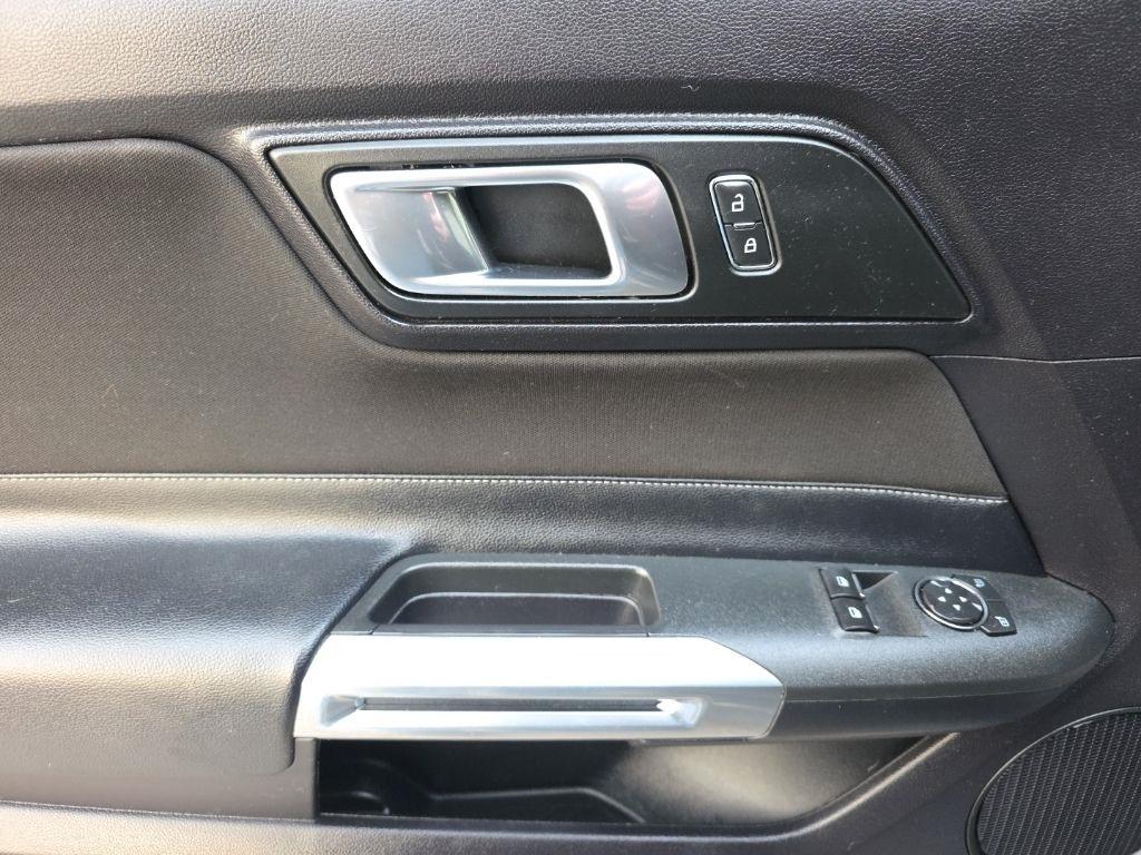 Ford Mustang GT Fastback 2019