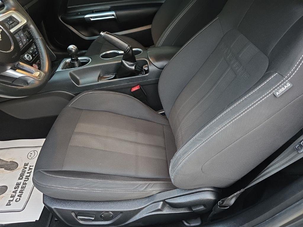 Ford Mustang GT Fastback 2019