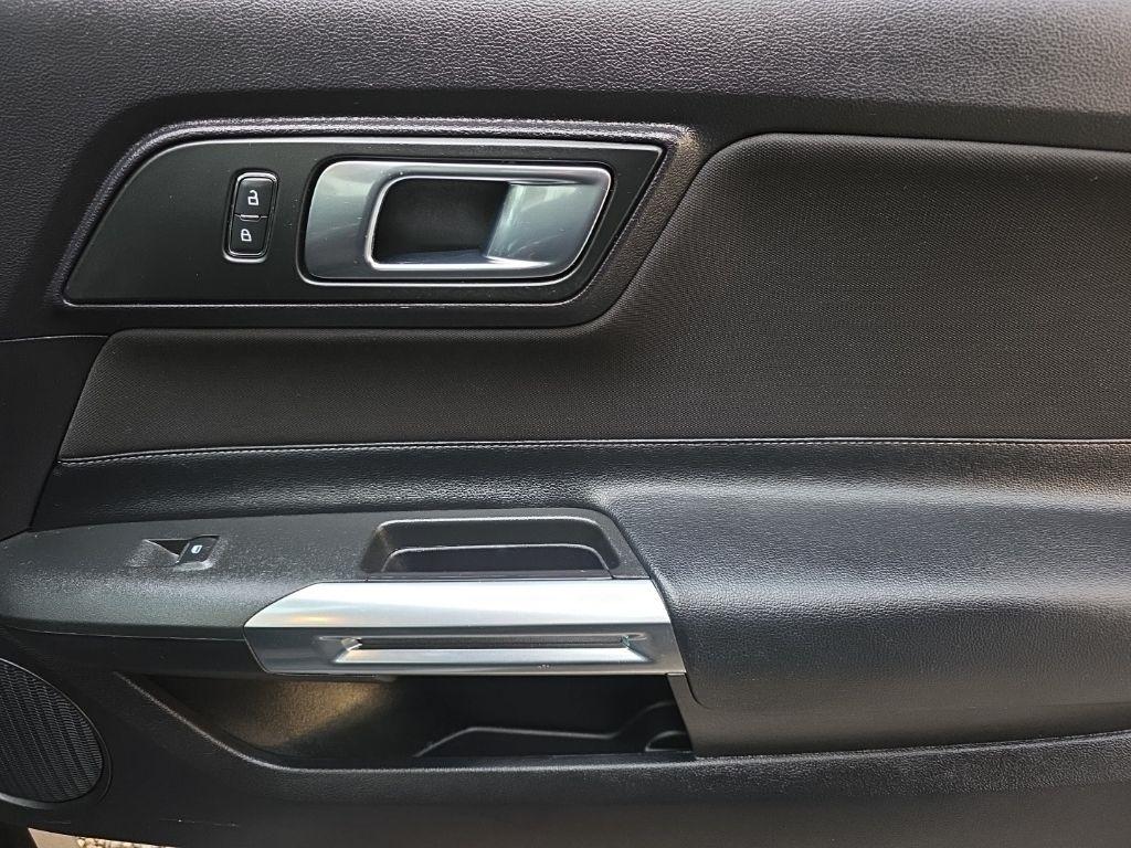 Ford Mustang GT Fastback 2019