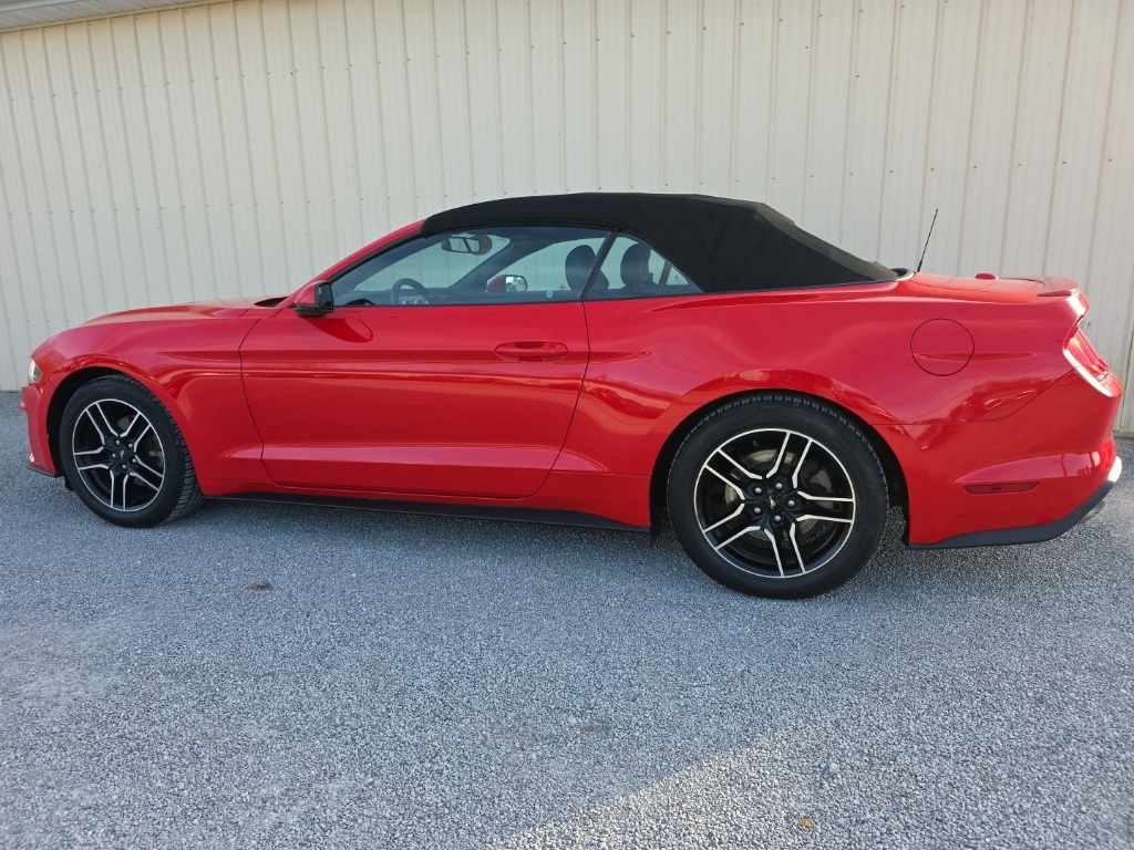Ford Mustang EcoBoost Convertible 2018