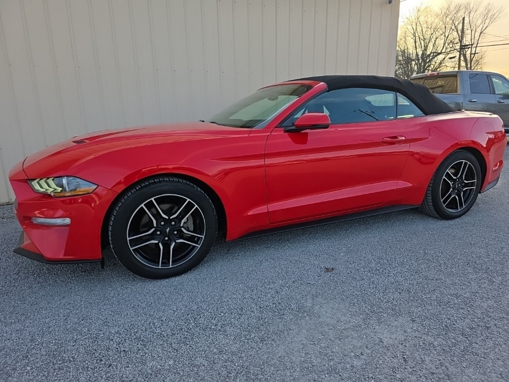 Ford Mustang EcoBoost Convertible 2018