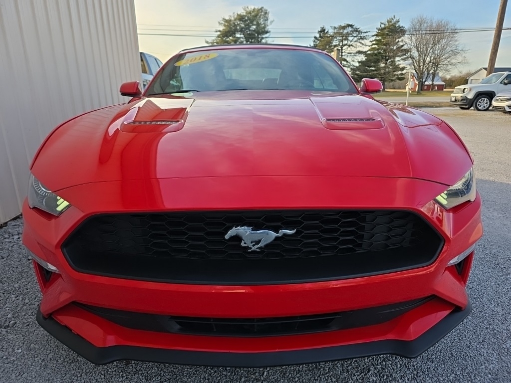 Ford Mustang EcoBoost Convertible 2018