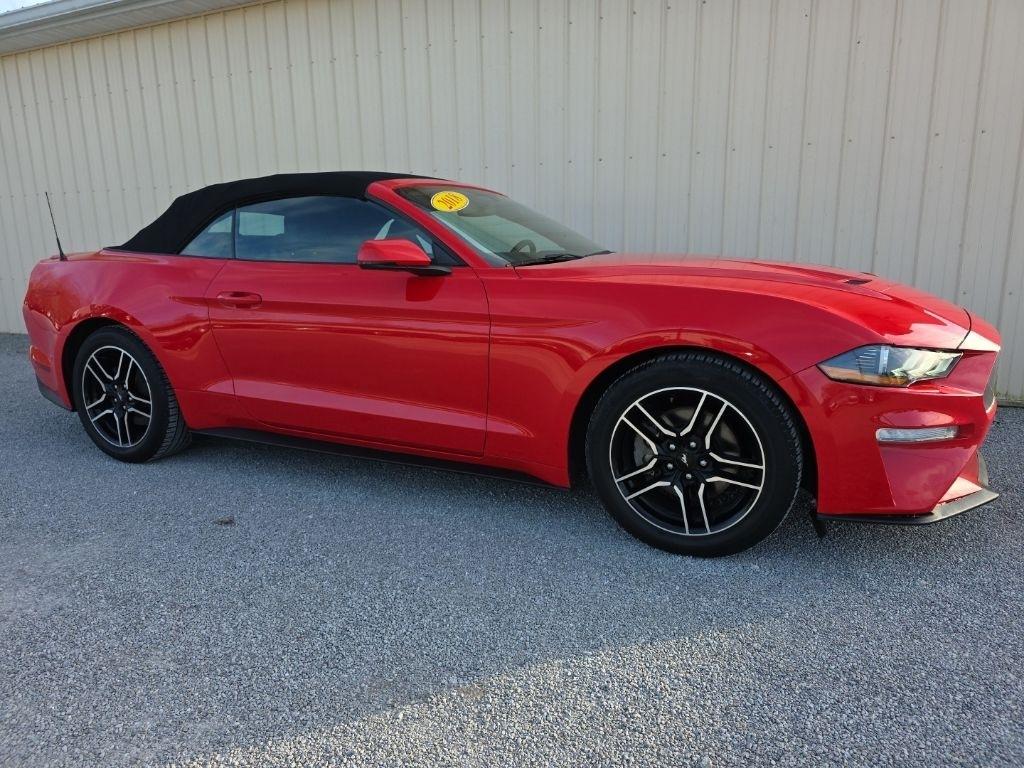 Ford Mustang EcoBoost Convertible 2018