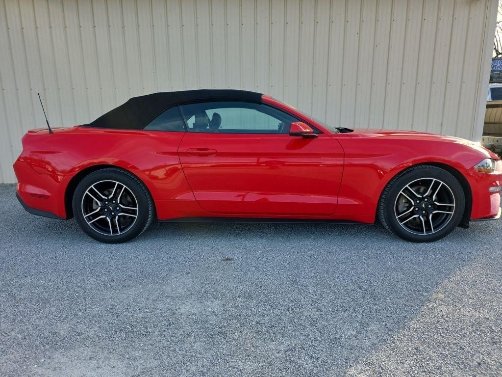 Ford Mustang EcoBoost Convertible 2018
