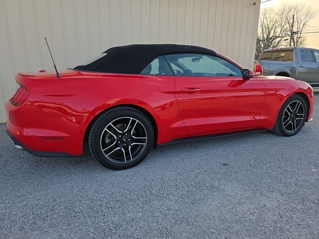 Ford Mustang EcoBoost Convertible 2018