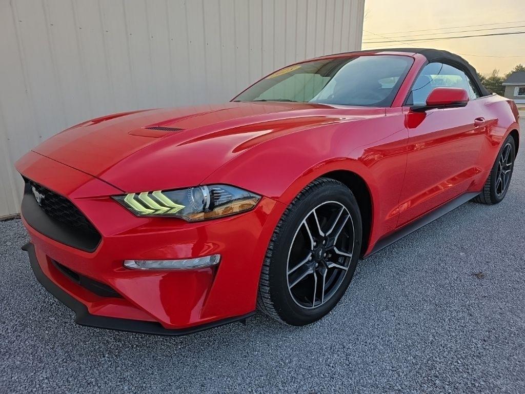 Ford Mustang EcoBoost Convertible 2018