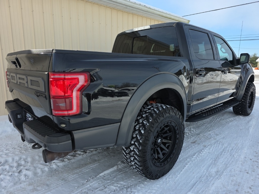 Ford F-150 Raptor 4WD SuperCrew 5.5' Box 2019