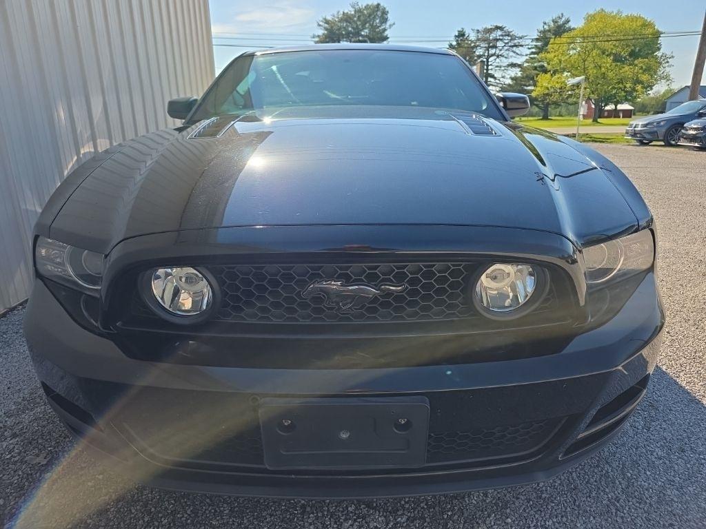 Ford Mustang 2dr Cpe GT 2014