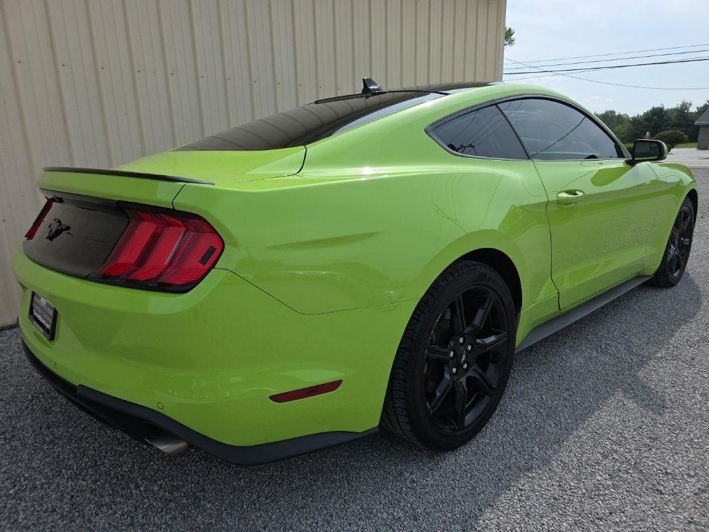 Ford Mustang EcoBoost Fastback 2020