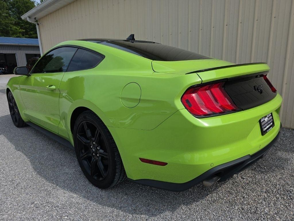 Ford Mustang EcoBoost Fastback 2020