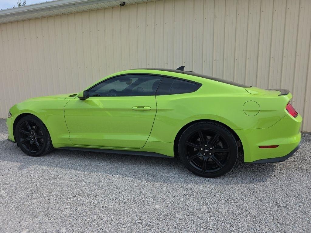 Ford Mustang EcoBoost Fastback 2020