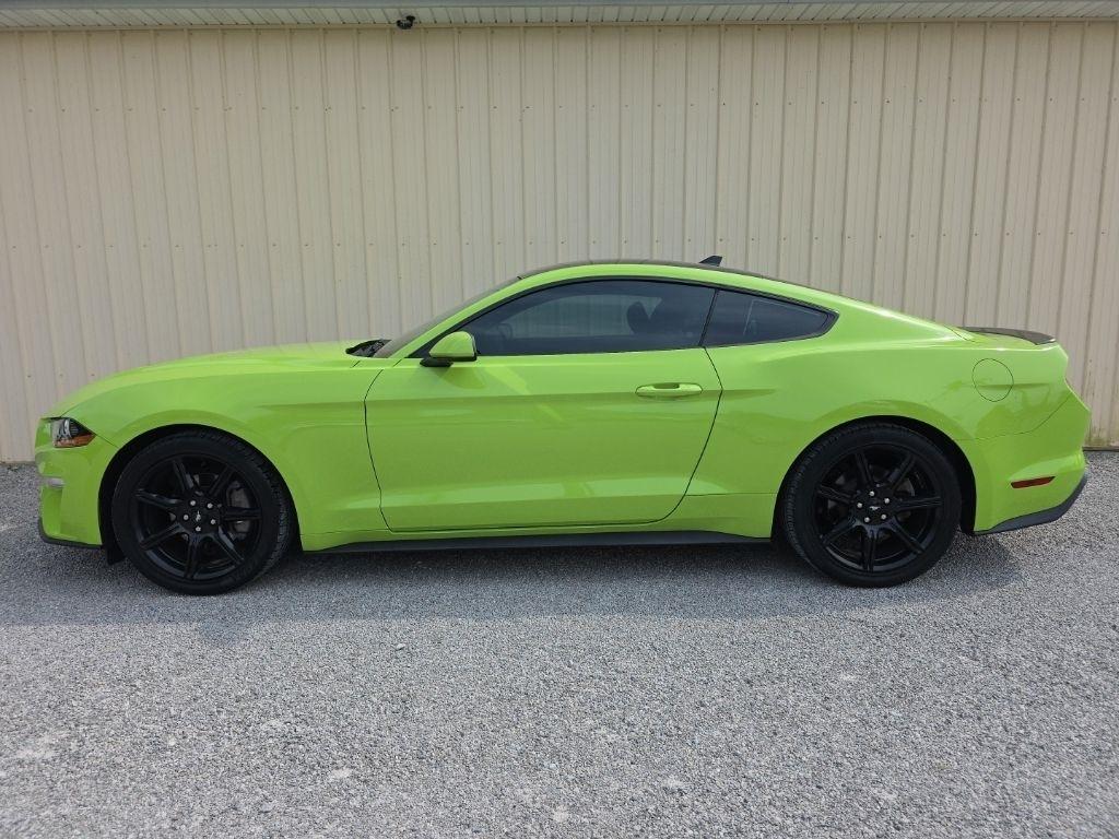 Ford Mustang EcoBoost Fastback 2020