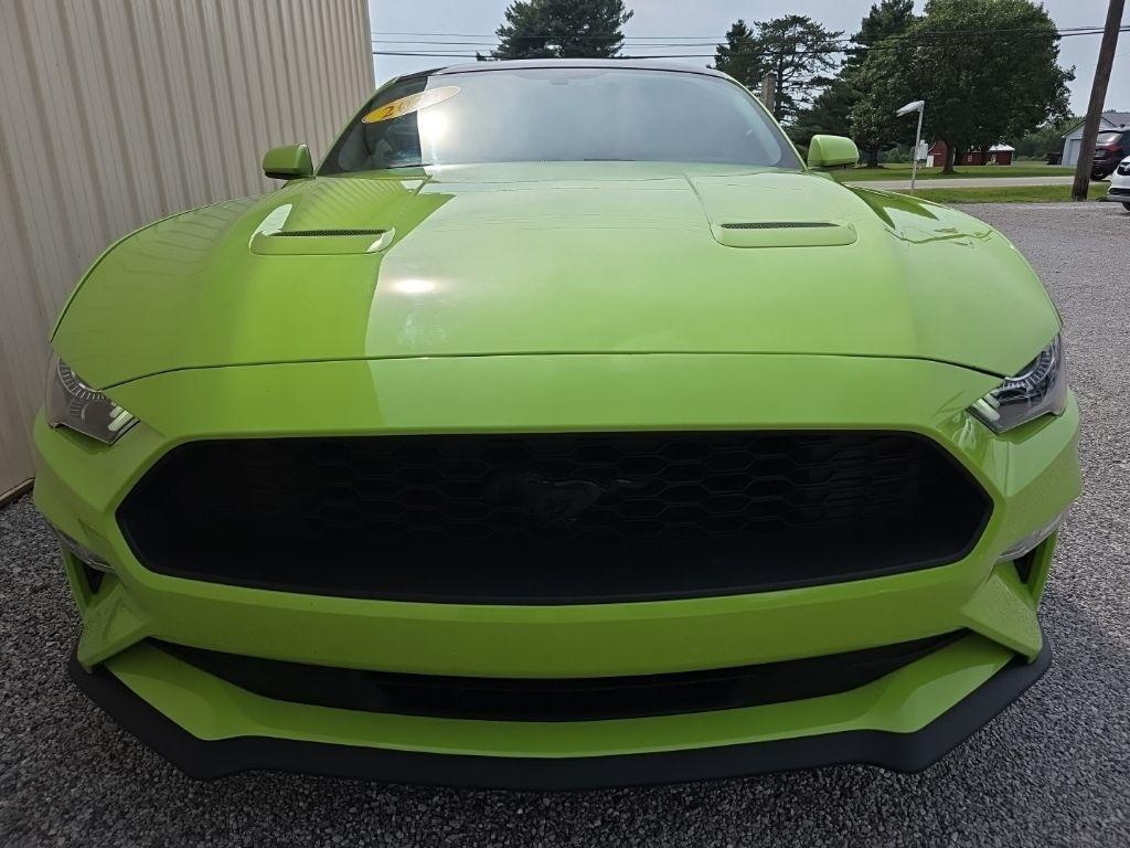 Ford Mustang EcoBoost Fastback 2020