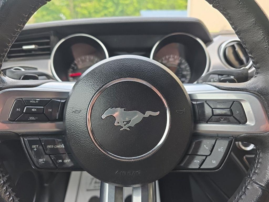 Ford Mustang EcoBoost Fastback 2020