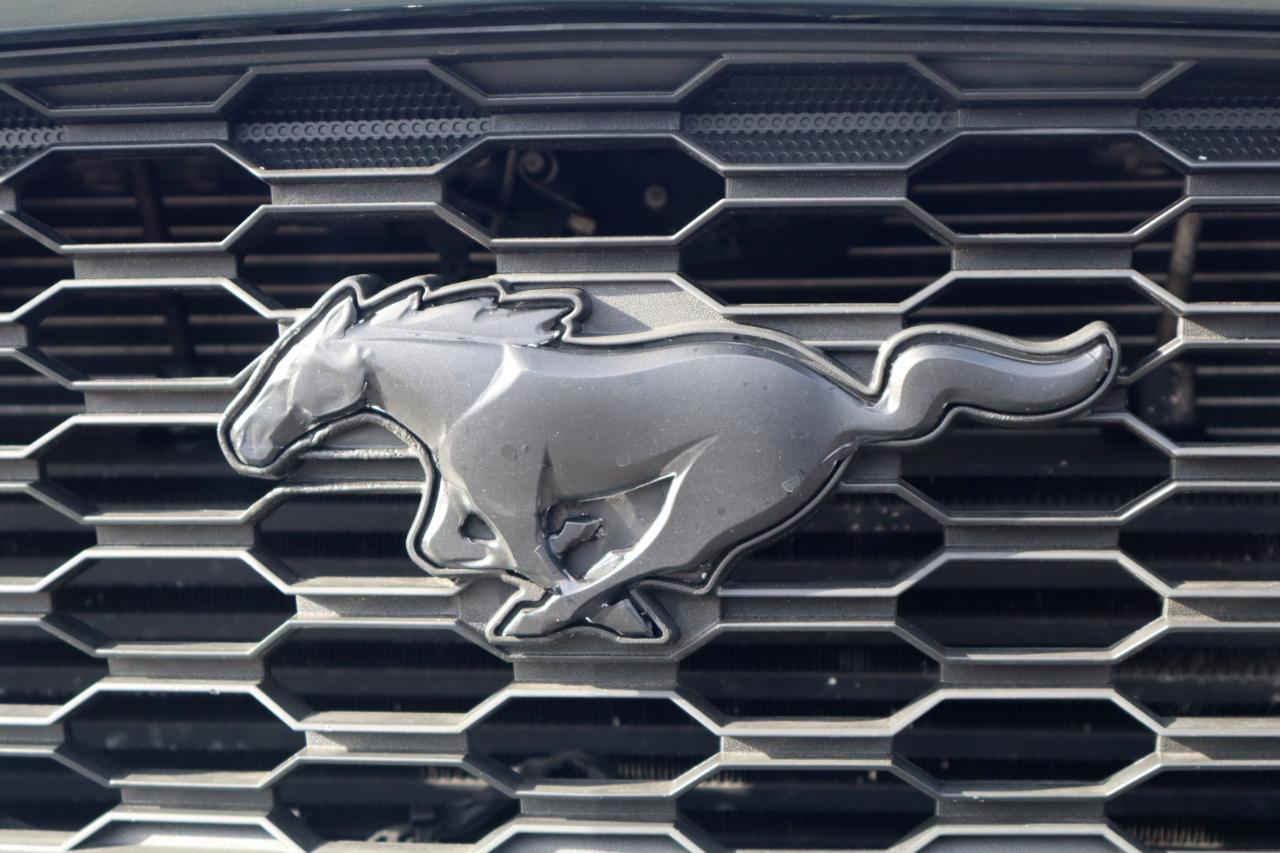 Ford Mustang EcoBoost Coupe 2016