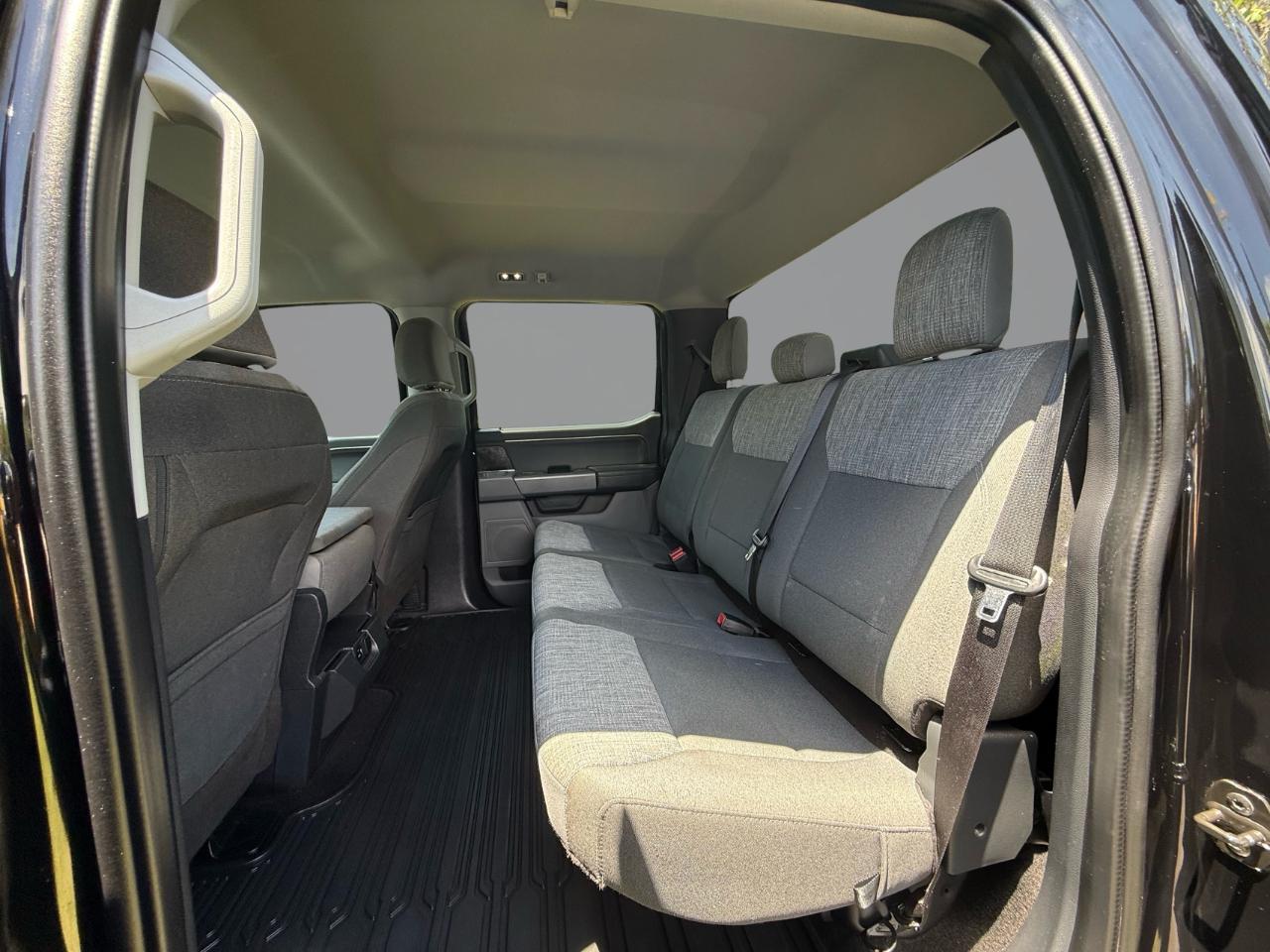 Ford F-150 XLT SuperCrew 5.5-ft. Bed 4WD 2023