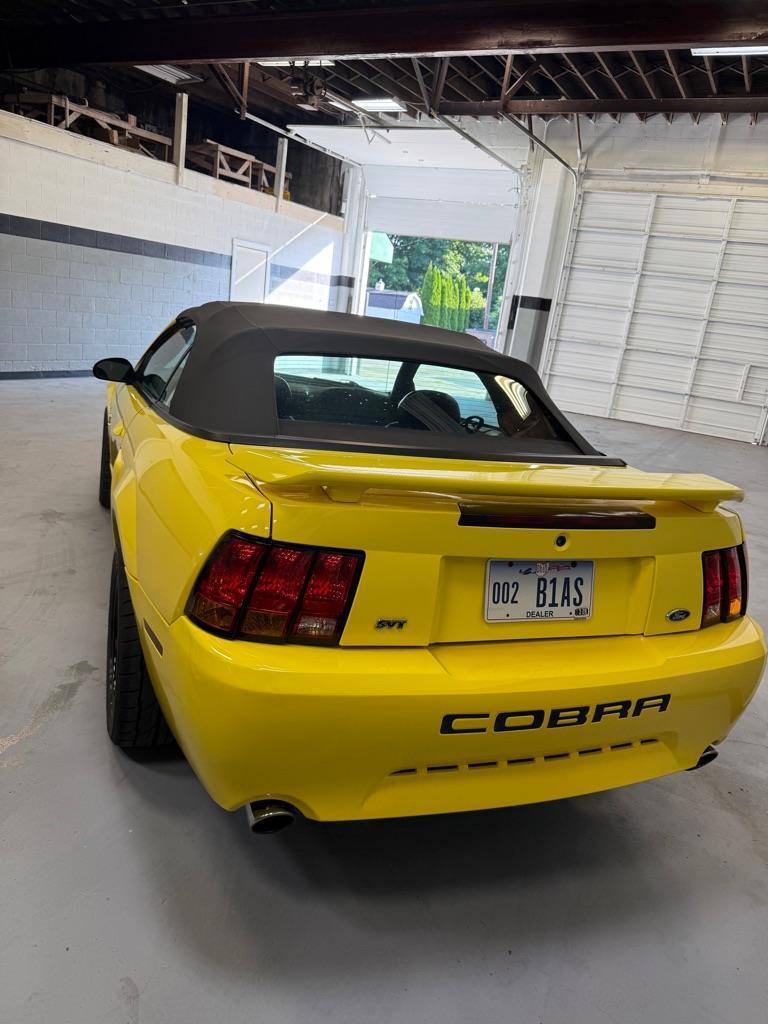 Ford Mustang Cobra Convertible 2001