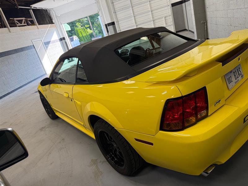 Ford Mustang Cobra Convertible 2001