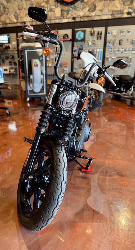 Harley-Davidson Street Bob  2023