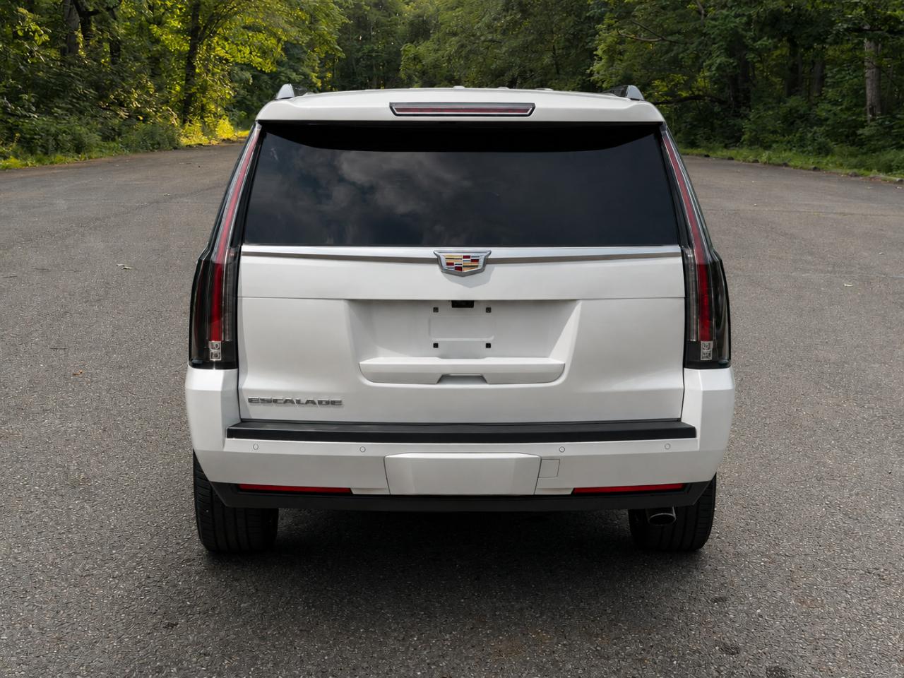 Cadillac Escalade ESV Platinum 4WD 2020