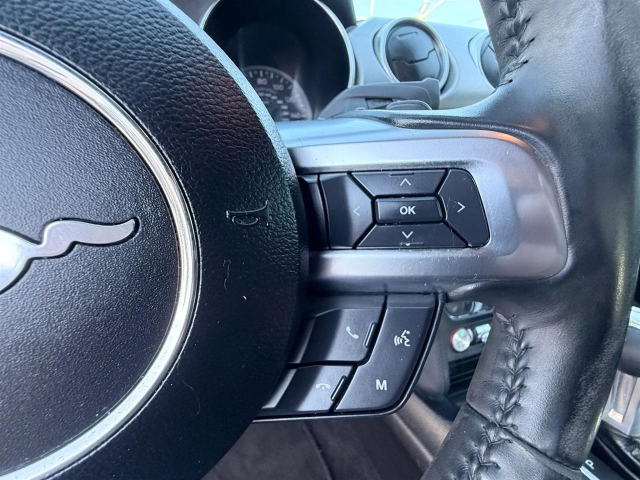 Ford Mustang EcoBoost Fastback 2018