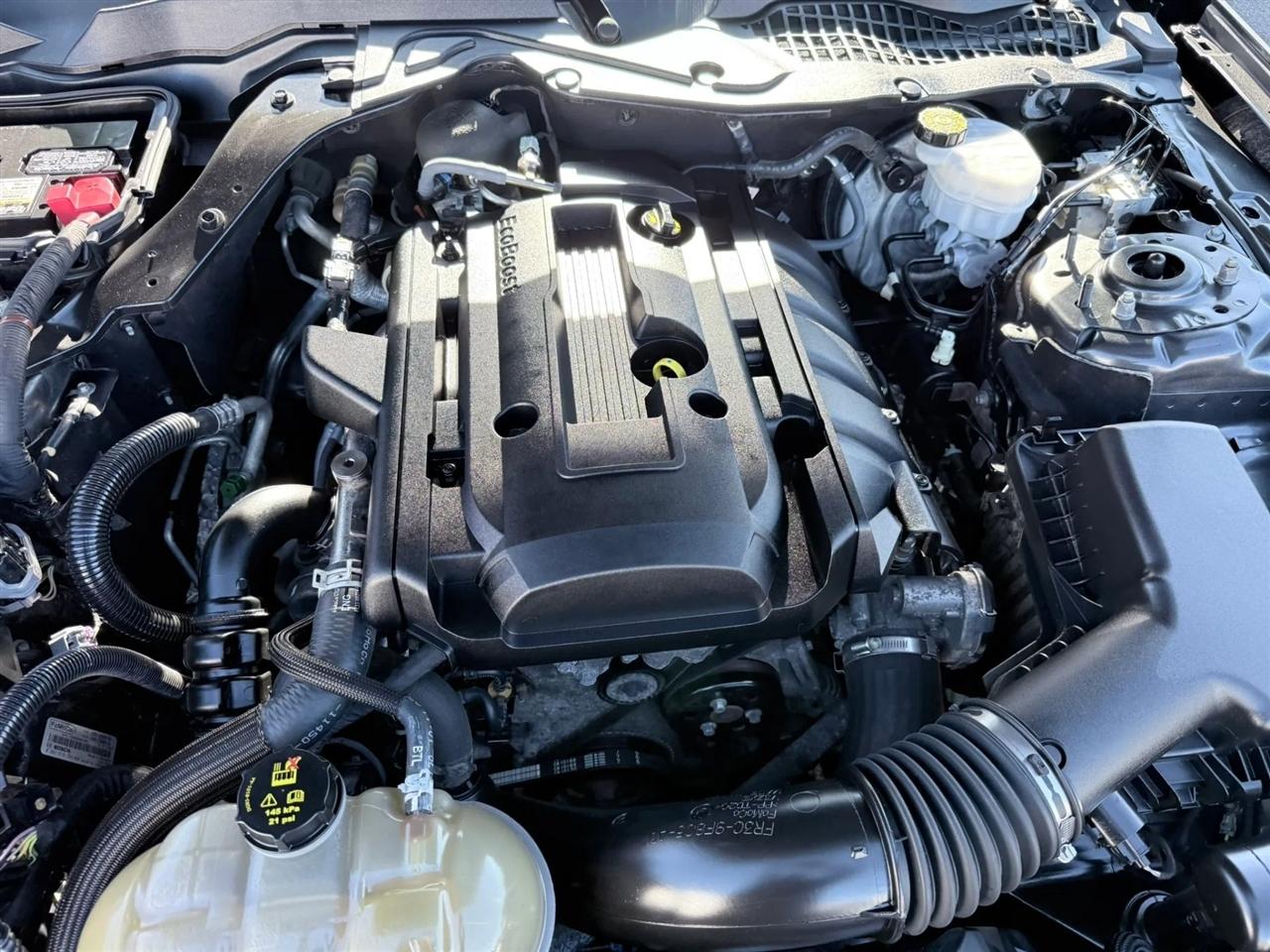 Ford Mustang EcoBoost Fastback 2018