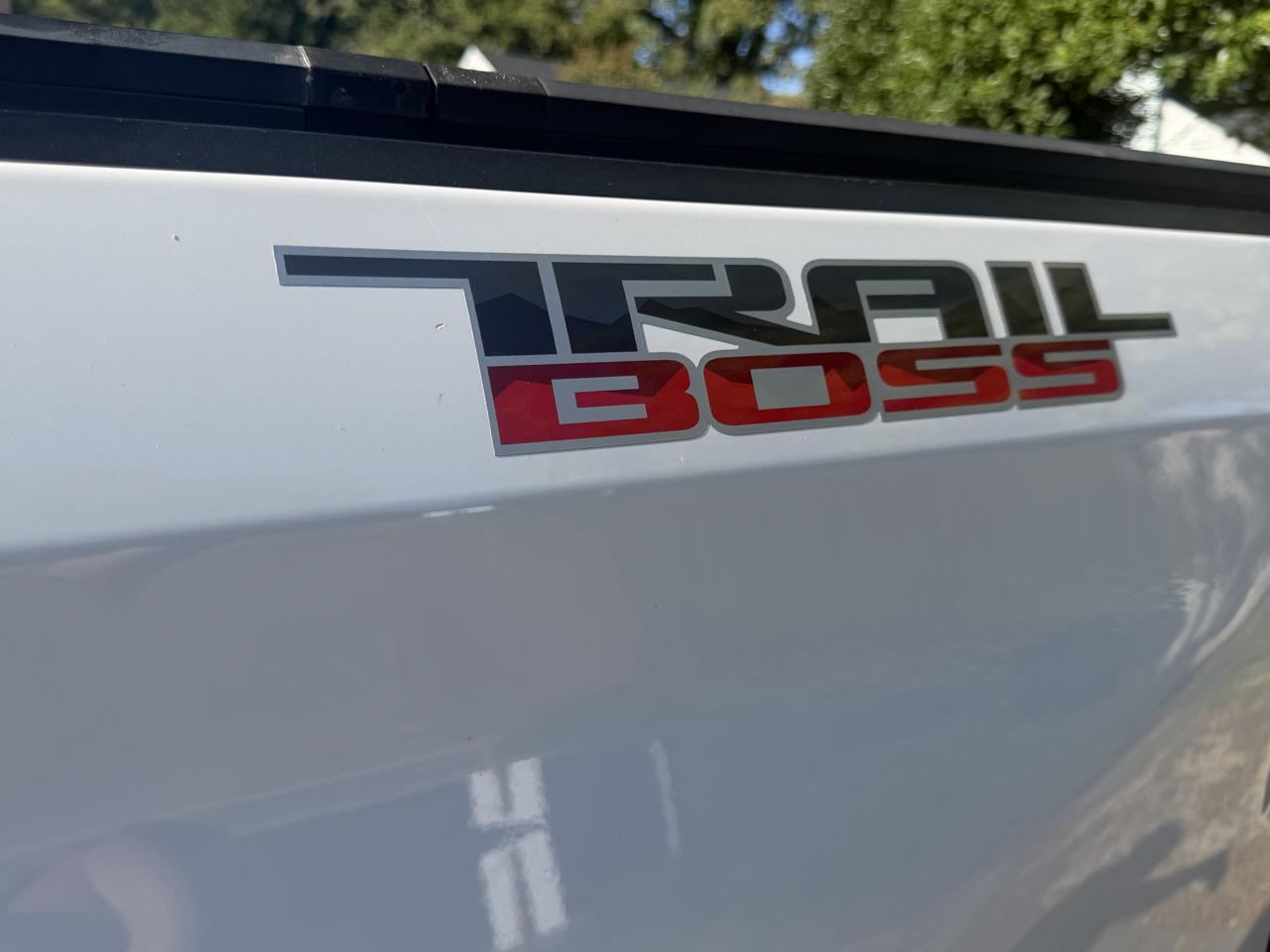 Chevrolet Silverado 1500 LT Trail Boss Crew Cab 4WD 2019