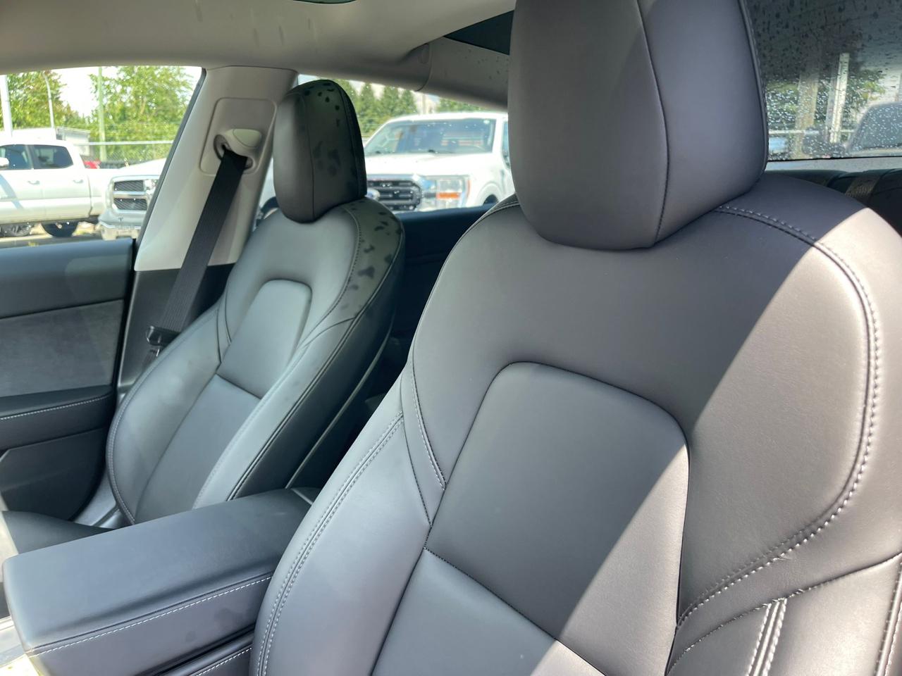 Tesla Model 3 Standard Range Plus RWD 2021