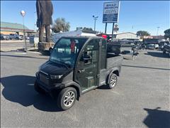 2025 Icon Golf Cart 