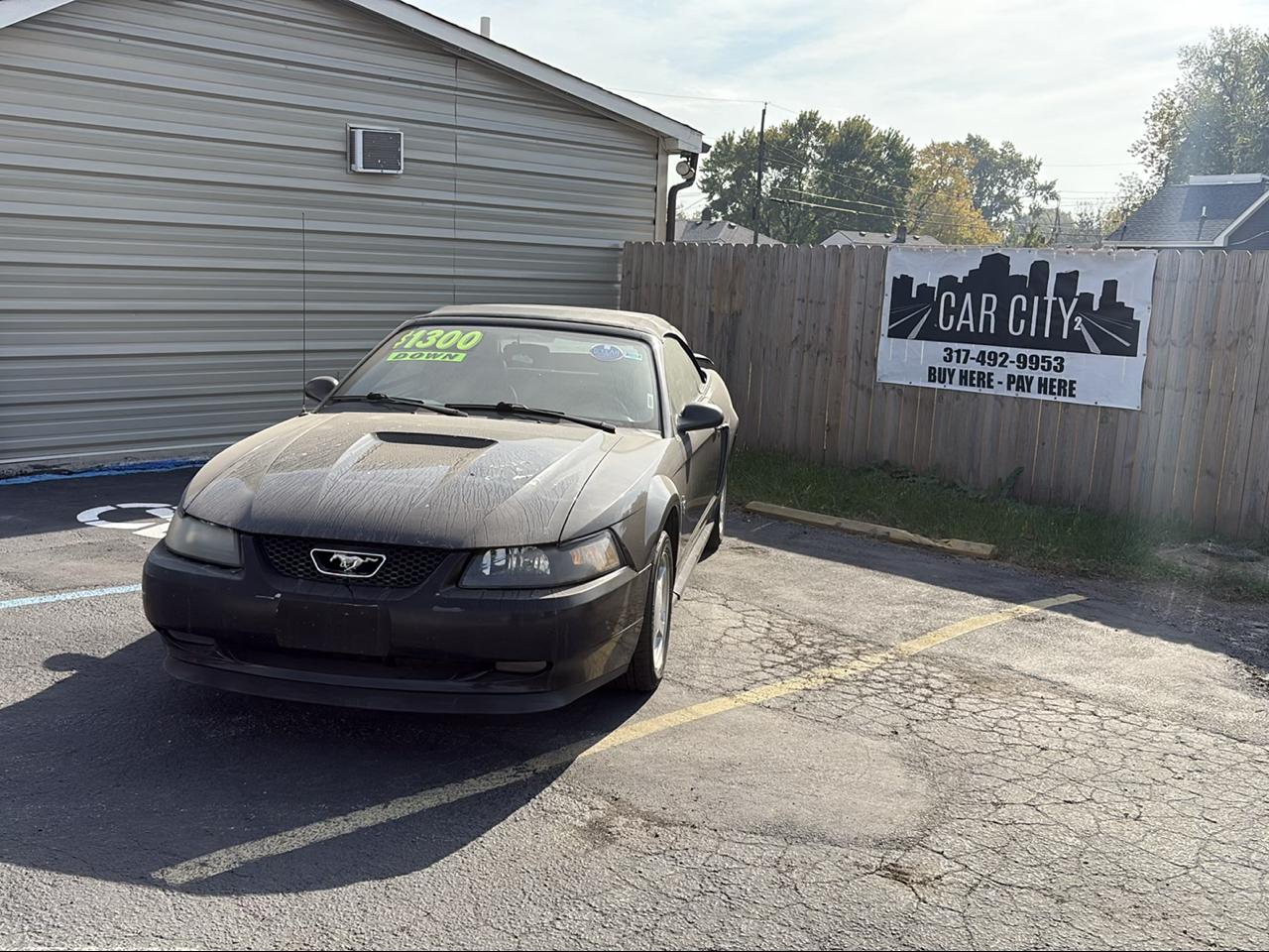 2001 Ford Mustang Deluxe Convertible