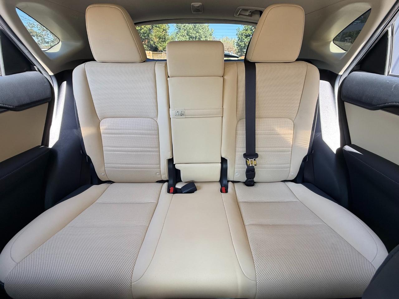 Lexus NX NX 300 AWD 2019