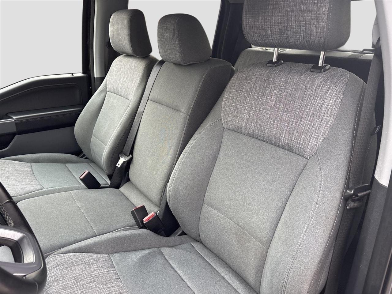 Ford F-150 XLT SuperCrew 5.5-ft. Bed 4WD 2023