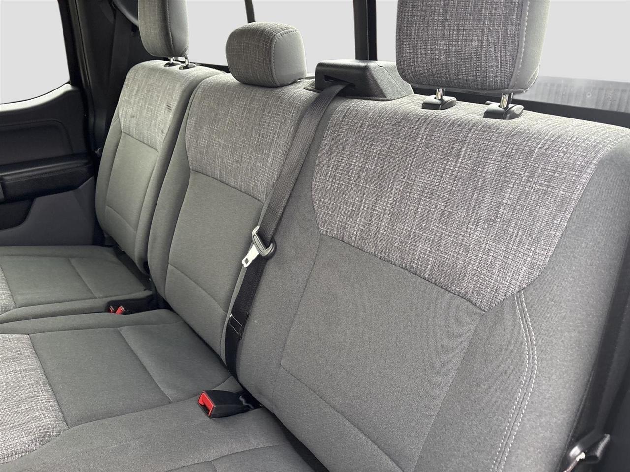 Ford F-150 XLT SuperCrew 5.5-ft. Bed 4WD 2023