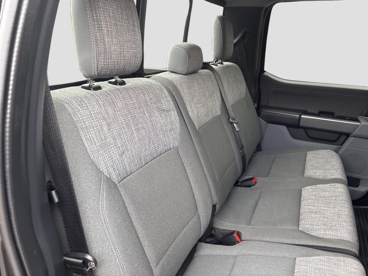 Ford F-150 XLT SuperCrew 5.5-ft. Bed 4WD 2023